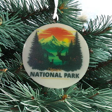 Olympic National Park Souvenir Magnet or Ornament